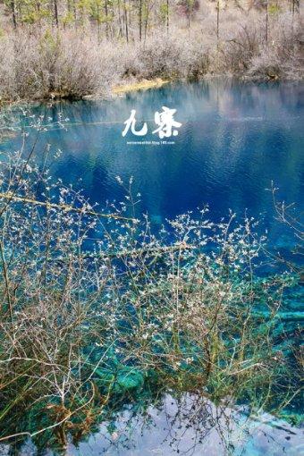快乐男孩救援