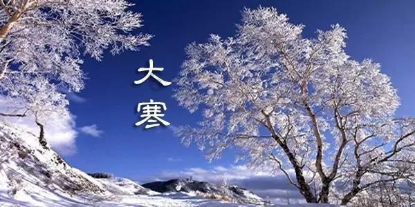 拯救卡通獾