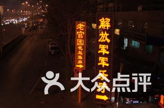 逃离棕榈树森林