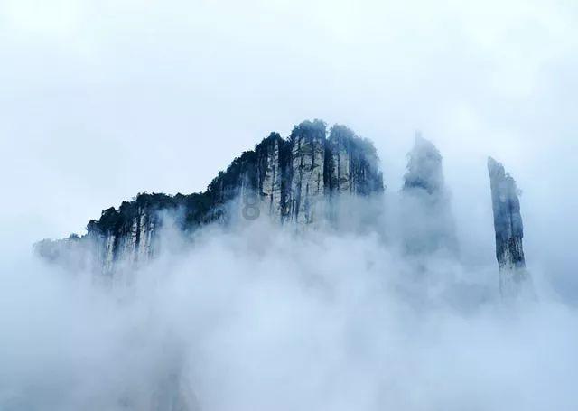 动物帮帮忙保卫家园