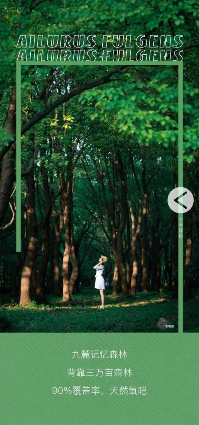泡脚水里加点“它”，不仅驱寒除湿，防感冒，还能杀菌止痒除脚气