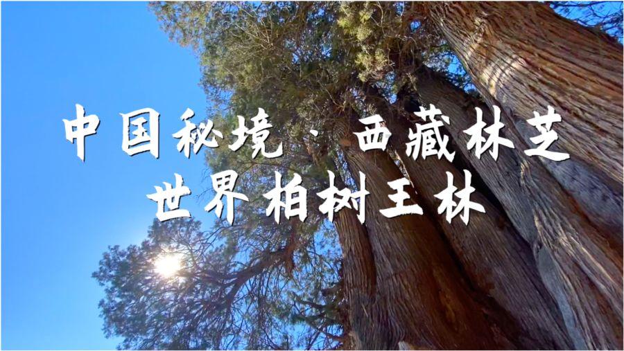 请问 古巴比伦空中花园属于古希腊文明还是两河文明？
