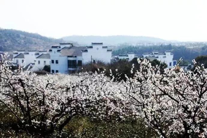 大航海之路