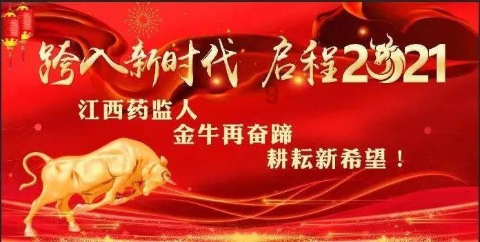 植物大战僵尸11