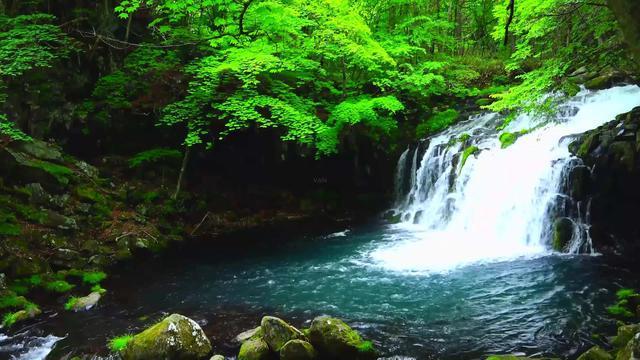 越野车涂颜色