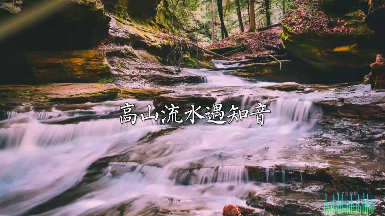 美人鱼游玩